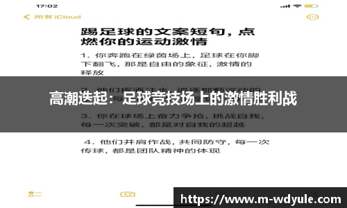 高潮迭起：足球竞技场上的激情胜利战